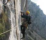 89801_380.jpg