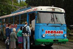 trolleibus_alushta.jpg